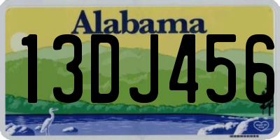 AL license plate 13DJ456