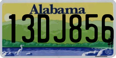 AL license plate 13DJ856