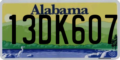 AL license plate 13DK607