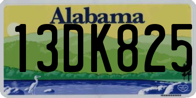 AL license plate 13DK825