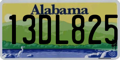 AL license plate 13DL825