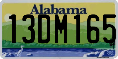 AL license plate 13DM165