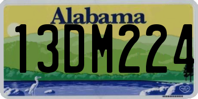 AL license plate 13DM224