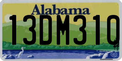 AL license plate 13DM310