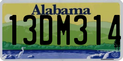 AL license plate 13DM314