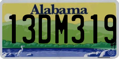 AL license plate 13DM319