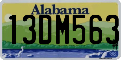 AL license plate 13DM563