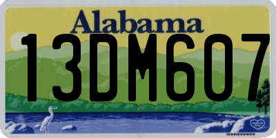 AL license plate 13DM607