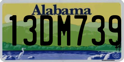 AL license plate 13DM739