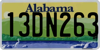 AL license plate 13DN263