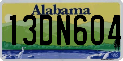 AL license plate 13DN604