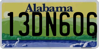 AL license plate 13DN606