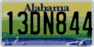 AL license plate 13DN844