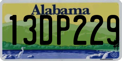 AL license plate 13DP229