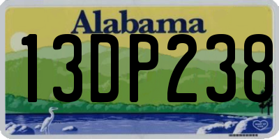 AL license plate 13DP238