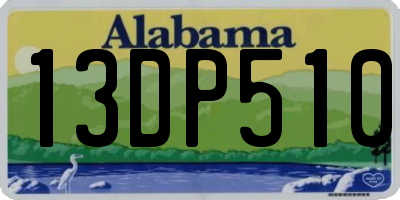 AL license plate 13DP510