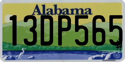 AL license plate 13DP565