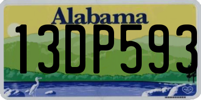 AL license plate 13DP593