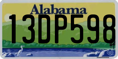 AL license plate 13DP598