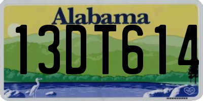 AL license plate 13DT614