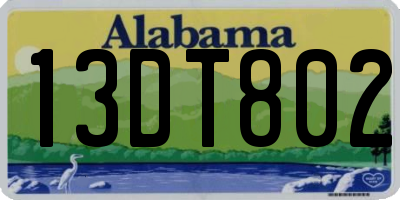 AL license plate 13DT802