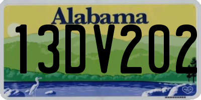 AL license plate 13DV202