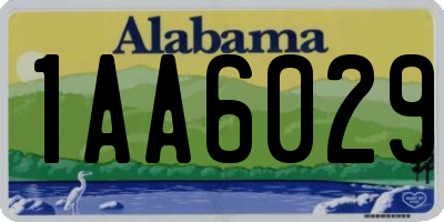 AL license plate 1AA6029