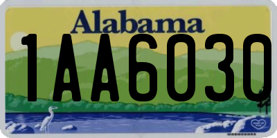 AL license plate 1AA6030