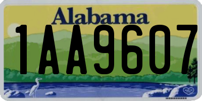AL license plate 1AA9607