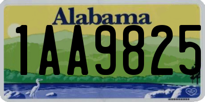 AL license plate 1AA9825