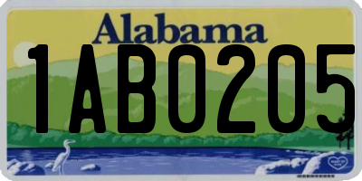 AL license plate 1AB0205