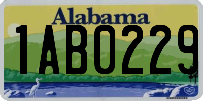 AL license plate 1AB0229