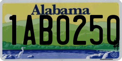 AL license plate 1AB0250