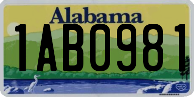 AL license plate 1AB0981