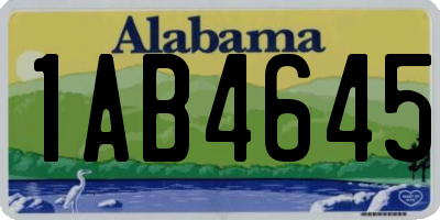 AL license plate 1AB4645