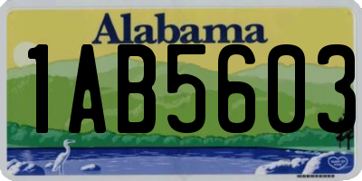 AL license plate 1AB5603