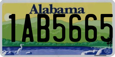 AL license plate 1AB5665