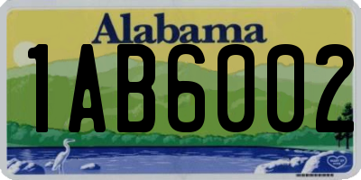 AL license plate 1AB6002