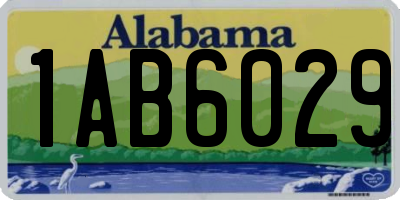 AL license plate 1AB6029