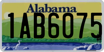 AL license plate 1AB6075