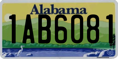 AL license plate 1AB6081