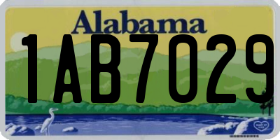 AL license plate 1AB7029