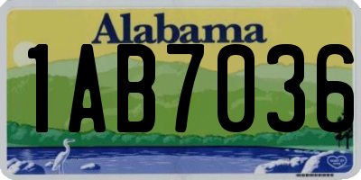 AL license plate 1AB7036