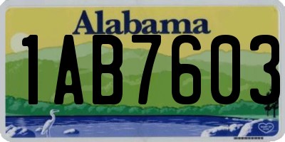 AL license plate 1AB7603