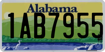 AL license plate 1AB7955