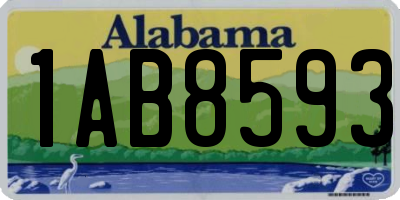 AL license plate 1AB8593