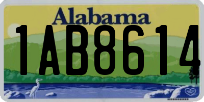 AL license plate 1AB8614