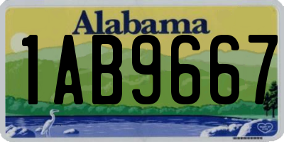 AL license plate 1AB9667