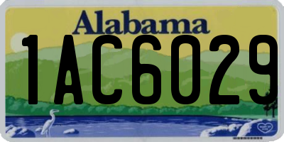 AL license plate 1AC6029