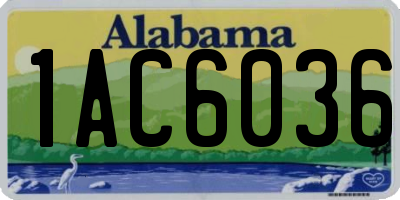 AL license plate 1AC6036